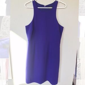 Purple J Crew A-Line Dress